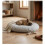 Cuscino ovale sfoderabile per cane 50 x 60 cm grigio chiaro 1
