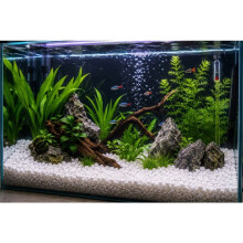 Witte decoratieve grind voor aquarium 10 kg