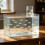 Plastic Fish Tank with Auto Refill and Space-Saving Hanging Design 1