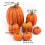 Halloween Foam Pumpkin Decoration – White & Orange 2
