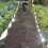 Bird repellent - 45m Repest 21040 tape 9
