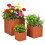 Rustic Carbon Steel Planter Set - 3 Sizes 1