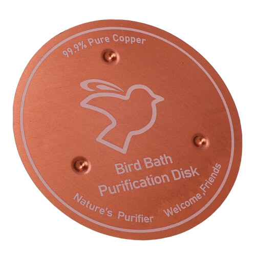 Vogelbad Kupfer-Scheibe 10  10  0,8 cm - 99,99% Cu