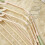 Plastic & Metal Non-Slip Clothes Hangers (5 Pack) 5