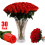 Plastic Vase Set – Non-Fragile Heart-Shaped Pair 1