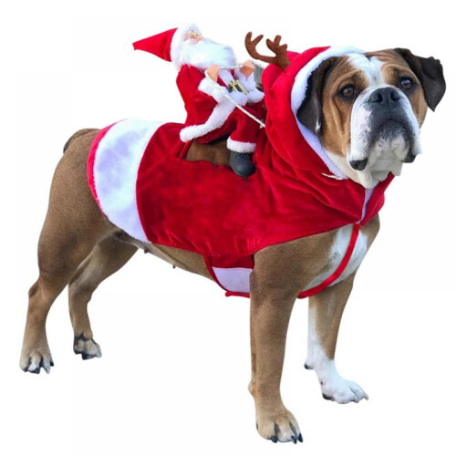 Hund Julkostym Tomtedesign S-XXL