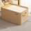 Foldable Closet Organizer Bin with Steel Frame 17x11x10 in 1