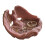 Elegant Angel Wing Shape Tray Accessory Organizers Plastic-Pink 1