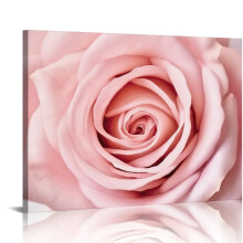 Pink Rose Canvas Wall Art - Blush Floral Decor