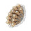Premium Preserved Flower Assortment 10 Unique Designs for-Beige 1