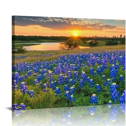 Bluebonnets Sunset Skyline Canvas Print 16x12 cali
