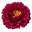 Spilla da donna a forma di peonia artificiale – Rossa, 13 cm 1