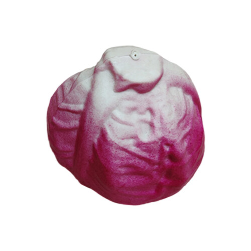 Creative Faux Vegetables ABS Plastic Simulation-red cabbage
