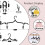 12-Pack Black Foldable Travel Hangers with 24 Clips 2