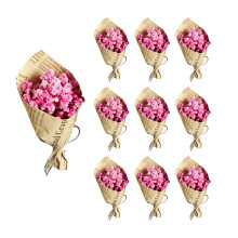 Hoogwaardig geconserveerd plantenpakket, perfect voor-Roze