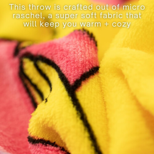 Pokemon Pikachu & Eevee Micro Raschel Throw46x60in 2
