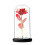 Rosa Roja Eterna en Cúpula de Cristal con Luces LED 1