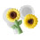 Gerbera Design Elastomeer gegoten, ideaal voor doe-het-zelf 1