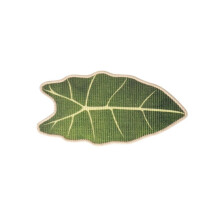 Haltbarkeit Katzen Scratch Pad Katzen Wand-Alocasia Macrorrhiza