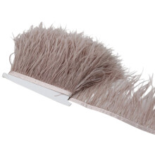 Brightly Colored Indumentum Feather Border Luxurious For-36