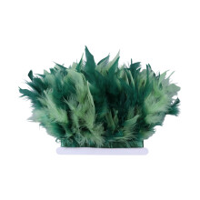 Bright Colored Plumage Excellent For Home Decoration And-013