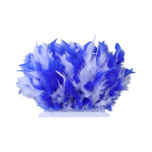 Soft Natural Plumage With Colorful Design Ideal For-005