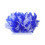 Plumage à bords de flamme double couleur, pour décorations-005 1