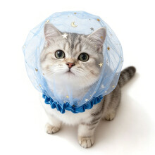Couvre-tĂŞte pour chiens et chats en tissu extensible,-Bleu