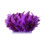 Bords décoratifs de plumage de couleur contrastée pour les-016 1