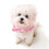 Couvre-chef respirable d'animal familier de maille pour que-Rose 1