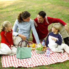 Borsa termica isolante per il pranzo con foglio di alluminio e cerniera
