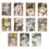 Papierpaket mit dichtem Shear-Design, 112-3 Sternplattennotizen 1