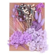 Natürliche getrocknete Blumen für Lesezeichen, Schmuck,-Lila