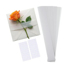 Clear Vellums Paper Belly Bands Liners For Enhancing Greeting