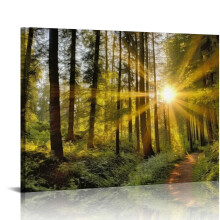 Leinwandbild „Grüne Natur“ – Waldlandschaft