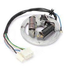 Yamaha PW80 Motorcycle Ignition Magneto Stator Plate with Double Coil
