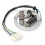 Yamaha PW80 Motorcycle Ignition Magneto Stator Plate with Double Coil 1