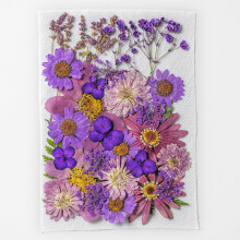 Flores naturais prensadas e secas para artesanato – 35 unidades