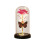 Galaxy Rose Glass Dome Light Gave til kvinder 1