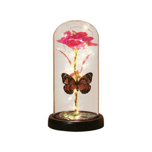 Galaxy Rose Glass Dome Light Gave til kvinder