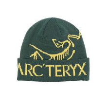 (Green) Arc'teryx Bird Word Toque Gray Void Wool Beanie Unisex Warm Winter Light gray