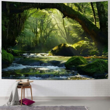 Tapisserie Cascade et ForĂŞt Verte 50x40 pouces