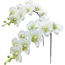 2 phíosa gais Orchaidí Laitéis Fíor-Theagmhála, 75cm