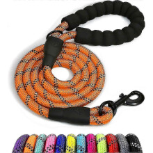 Hundeleine aus Nylon mit weich gepolstertem Griff und reflektierenden Fäden, 150 cm x 1,2 cm, Orange