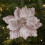 Lyserøde Glitter Magnolia Blomsterdekorationer 22 cm 1