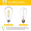 Edison LED Bulbs 8W 2700K E26 ST58 6 Pack 2