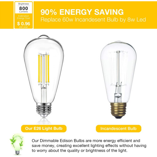 Edison LED Bulbs 8W 2700K E26 ST58 6 Pack 1