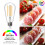 Edison LED Bulbs 8W 2700K E26 ST58 6 Pack 3