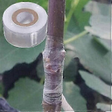 3 cm breites weißes Veredelungsband, 2 Rollen transparente Stretch-Floristenfolie zum Veredeln von Obstbäumen