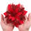 Κόκκινα κλιπ λουλουδιών Poinsettia με γκλίτερ 12 τεμάχια 5